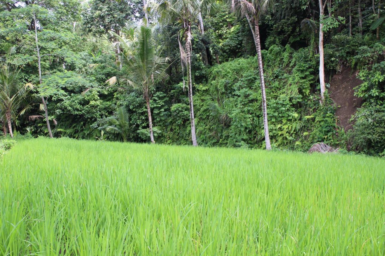 Pondok Tepi Sungai Sidemen  Eksteriør bilde